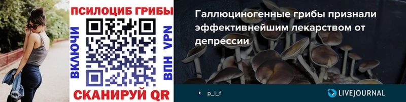 нарко площадка наркотические препараты  даркнет сайт  ОМГ ОМГ как зайти  Нижний Ломов  Галлюциногенные грибы Cubensis 